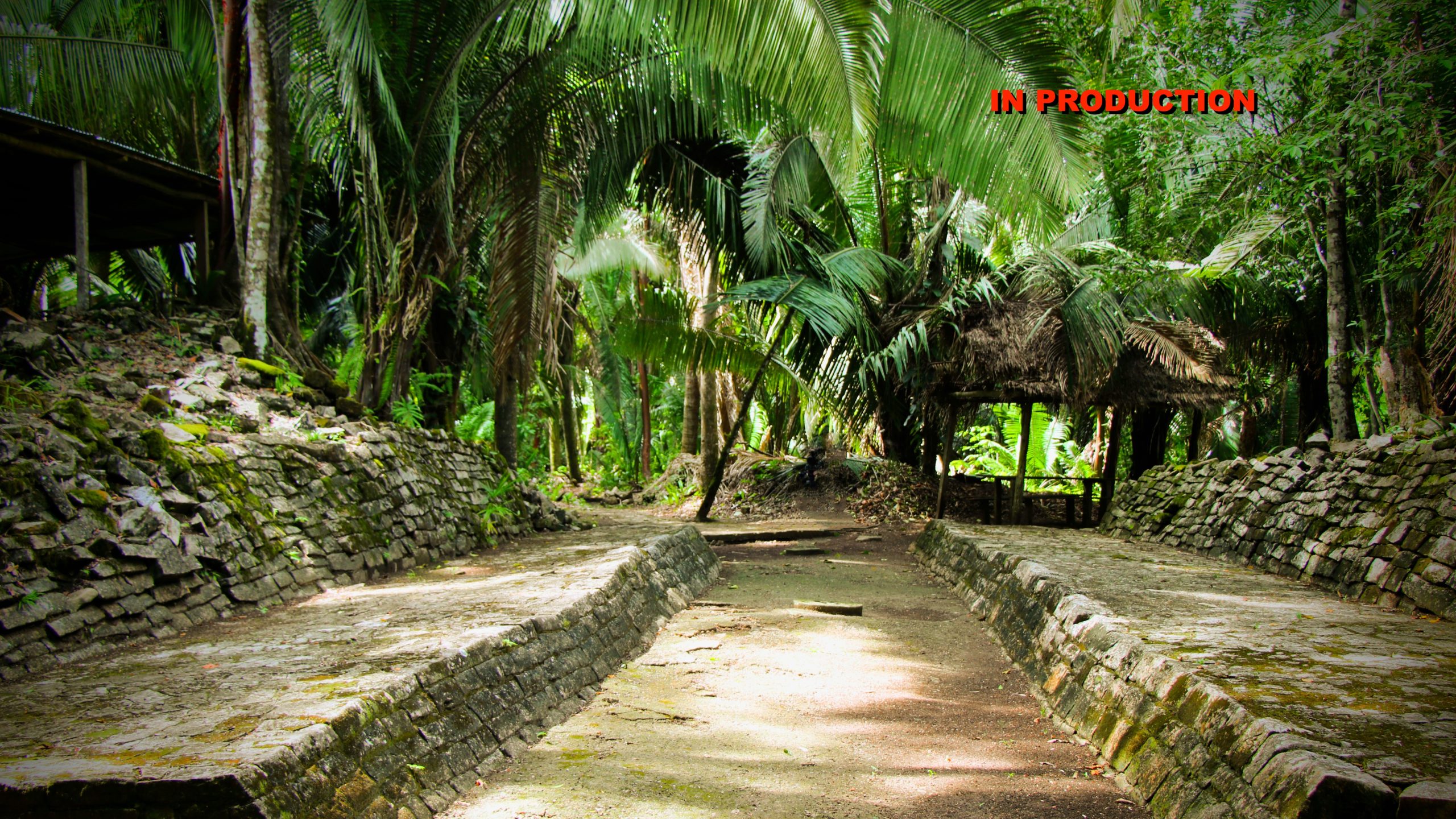 Secrets of the Maya Warrior Queen